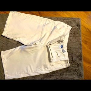 DG2 shorts size 12